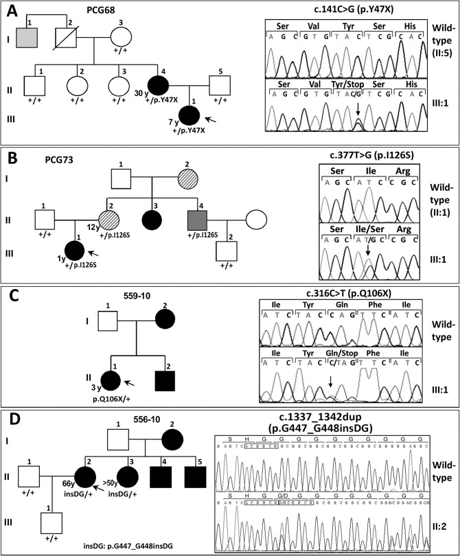 Fig 1