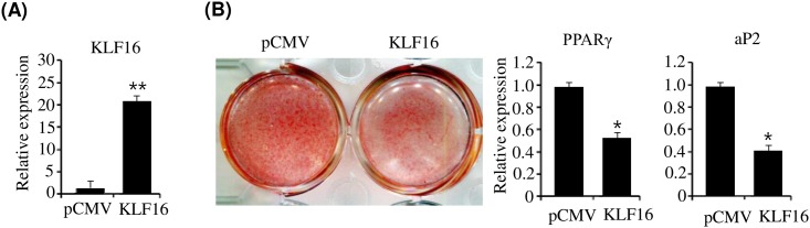 Fig 5