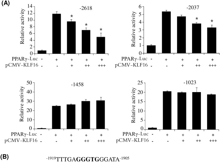 Fig 7