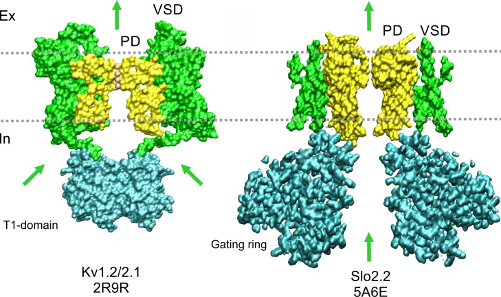 Figure 3.