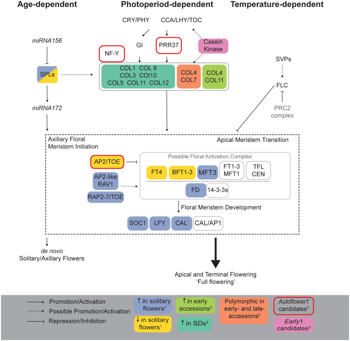 Figure 6