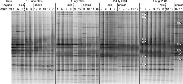 FIG. 5.