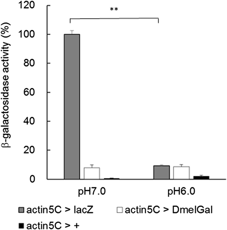 Fig. 7