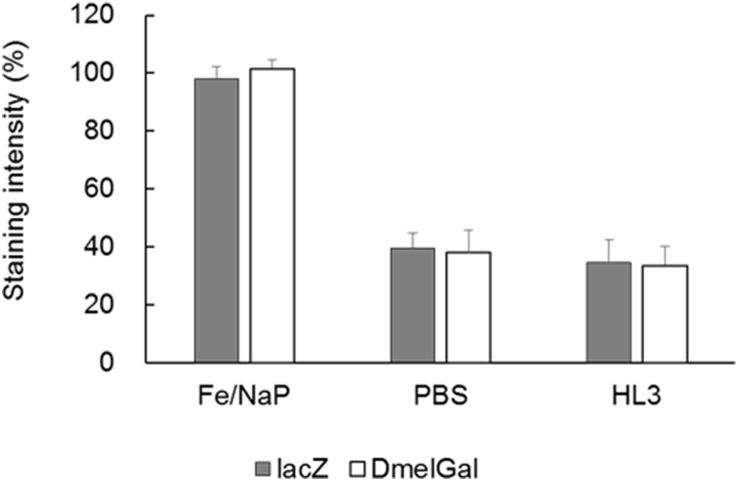 Fig. 3