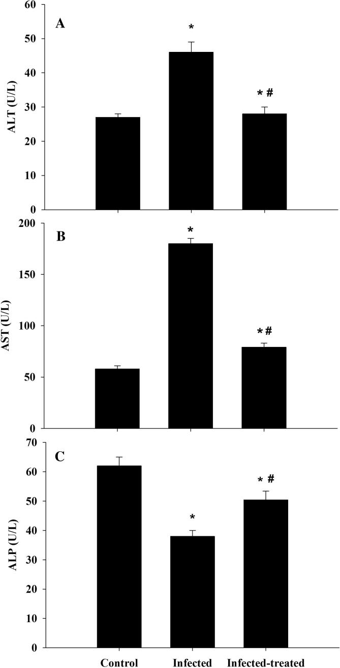 Fig. 3. C