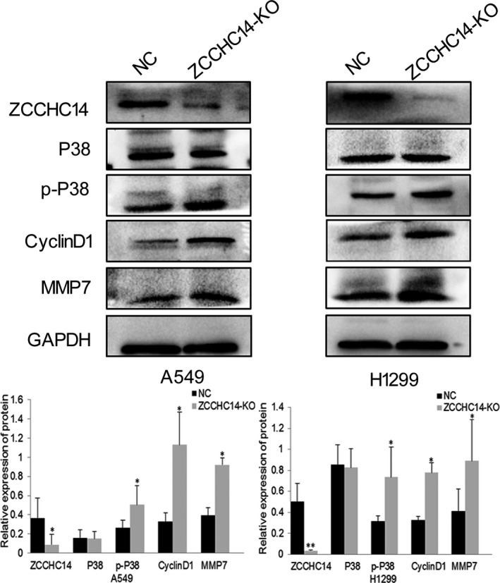 FIGURE 4