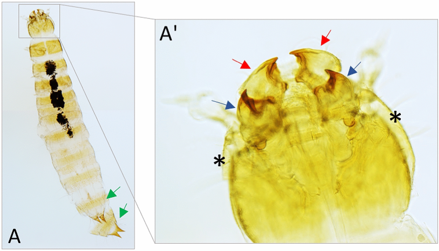 Fig. 4