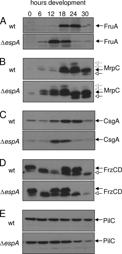 FIG. 5.