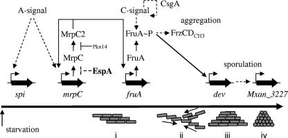 FIG. 7.