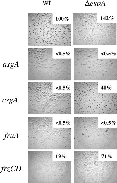 FIG. 6.