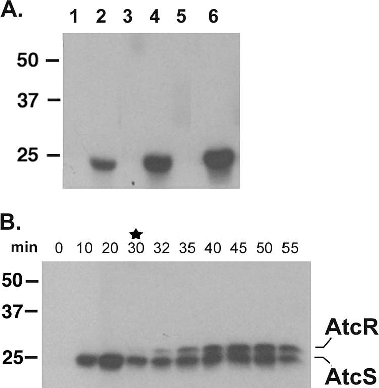 FIG. 6.