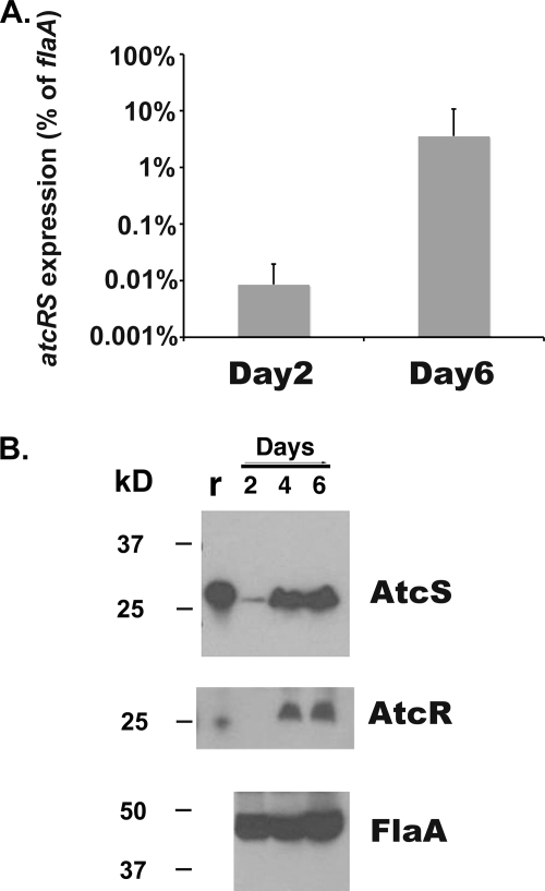 FIG. 5.