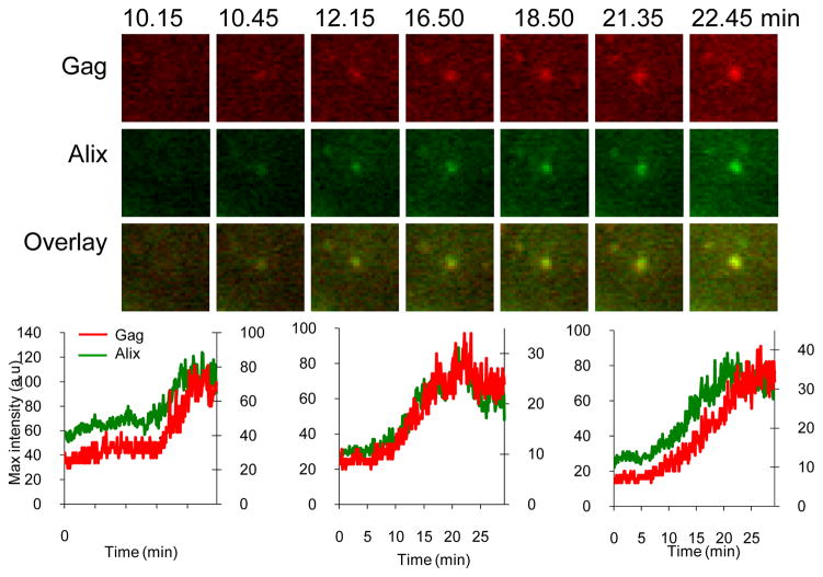 Figure 6