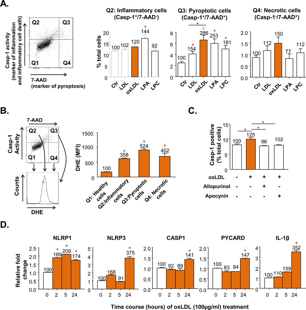 Figure 6