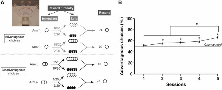 Fig. 1