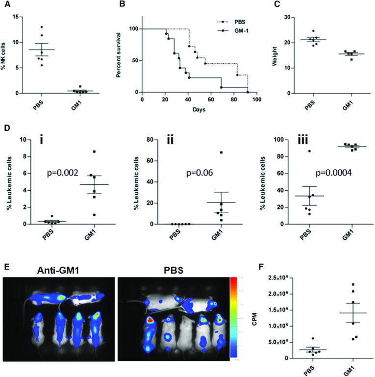 Figure 4. Depletion of NK cells reduced survival of mice and enhanced peripheral and CNS leukemia. NOD/SCID mice were intraperitoneally injected with either anti-Asialo GM1 (n = 13) or sterile PBS (n = 11) and then transplanted with 107 cells intravenously. (A) Confirmation of NK depletion by flow cytometry analysis of peripheral NK cells in blood samples from mice injected with anti-Asialo GM1 compared with PBS controls (P < .0001). (B) Kaplan-Meier survival curve depicting reduced survival of the NK-cell–depleted mice (P = .003, log-rank test). (C) Reduced weight of NK-cell–depleted mice on the day of euthanasia (P = .0005, t test). (D) Flow cytometry analysis of 018Z-cherry-positive cells in the (i) blood, (ii) BM, and (iii) brain. Data presented are from 3 independent experiments. Values are means ± SE. Statistical analysis was performed by t test. (E) Bioluminescent imaging of mice 27 days after transplantation with 018Z cells expressing the luciferase reporter: NK-cell–depleted mice (left) and PBS-injected mice (right). (F) Quantification of the images in E by Living Image Software. The leukemic load is represented as counts per minute (CPM; P = .004, t test).