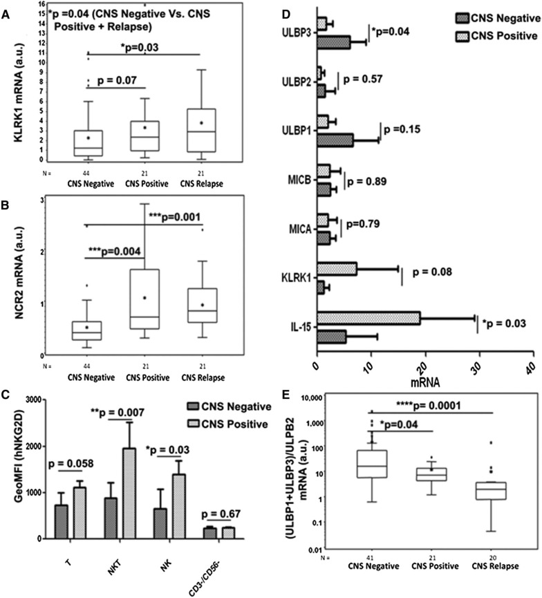 Figure 7. Expression of NKG2D and NKp44 receptors and ligands on NK cells and the association with CNS leukemia. Box plots demonstrating the positive association between the expressions of (A) NKG2D/KLRK1 and (B) NKp44/NCR2, respectively, and CNS involvement in leukemia in the entire set of 86 primary BM samples. (C) Geometric mean fluorescence intensity of human NKG2D protein expression on T cells (CD45+/CD3+/CD56−/CD19−), natural killer T (NKT) cells (CD45+/CD3+/CD56+/CD19−), NK cells (CD45+/CD3−/CD56+/CD19−), and CD45+/CD3−/CD56−/CD19+/− cells in a subset of 6 CNS-negative and 3 CNS-positive primary BM samples. (D) qRT-PCR of IL-15, NKG2D/KLRK1, MICA, MICB, ULBP1, ULBP2, and ULBP3 in the same set as C. mRNA values are normalized to SDHA expression. (E) Association of (ULBP1 + ULBP3/ULBP2) mRNA ratio and CNS involvement in leukemia in the entire set of BM samples. Data shown were derived through qRT-PCR after reverse transcription using RNA of BM mononuclear cells at initial diagnosis. The line within the box plots of A, B, and E corresponds to the median value, the star is the mean value, the box length is the interquartile range, and the lines emanating from the box (whiskers) extend to the smallest and largest observations; outliers are indicated. a.u., arbitrary units. Statistical analyses were done by applying the 2-tailed Student t-test.