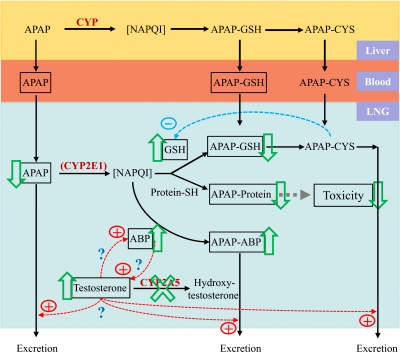 Fig. 8.