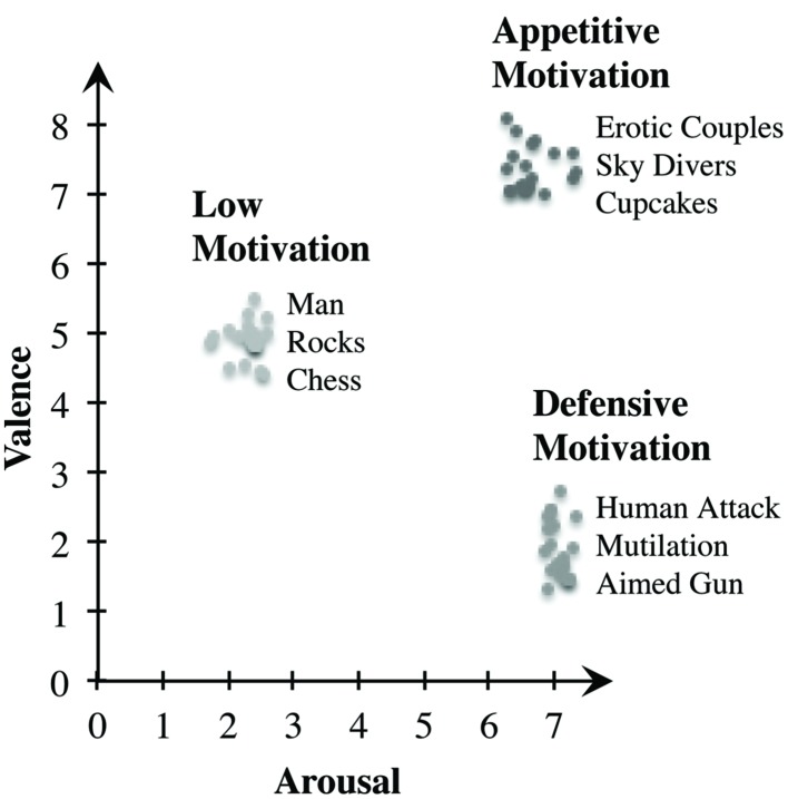 FIGURE 1