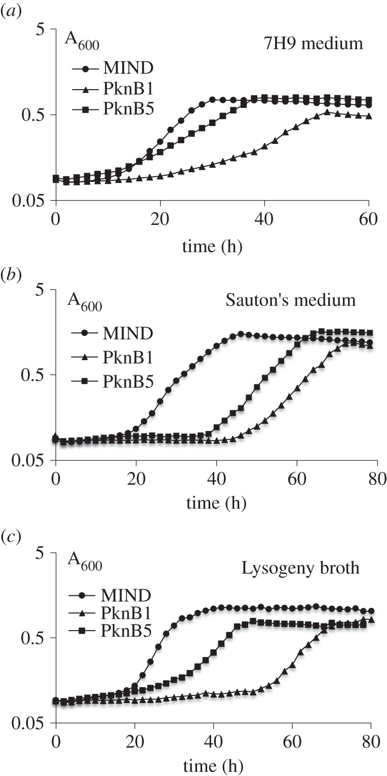 Figure 2.