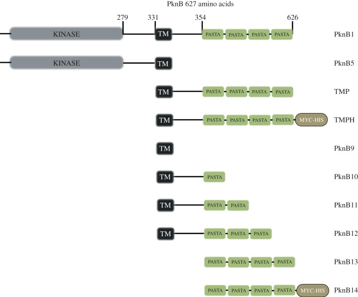 Figure 1.