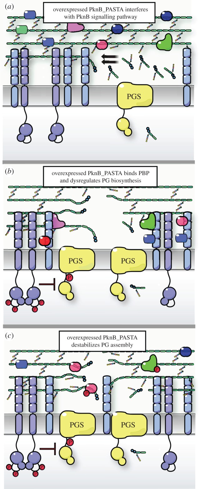 Figure 7.