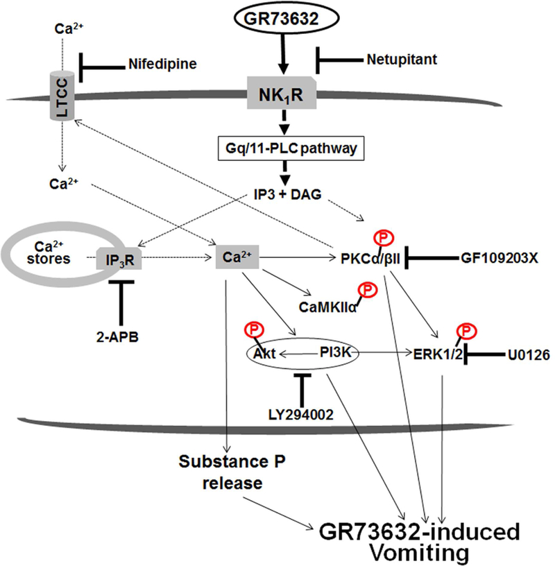 Fig. 8.