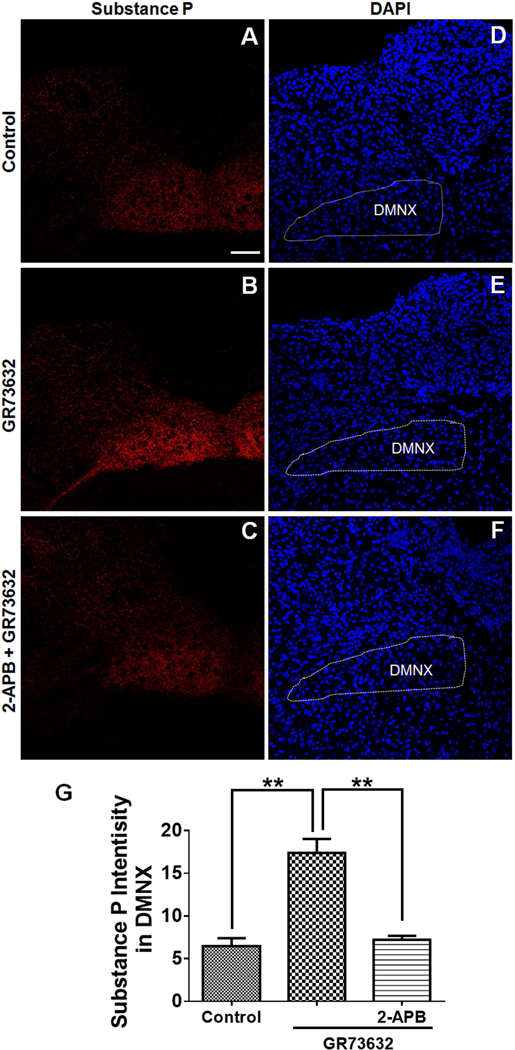 Fig. 7.