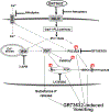 Fig. 8.