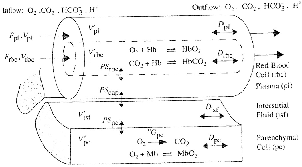 Fig. 39.1