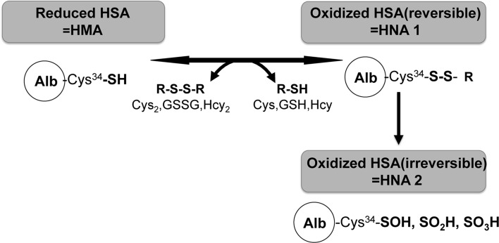 Fig. 1