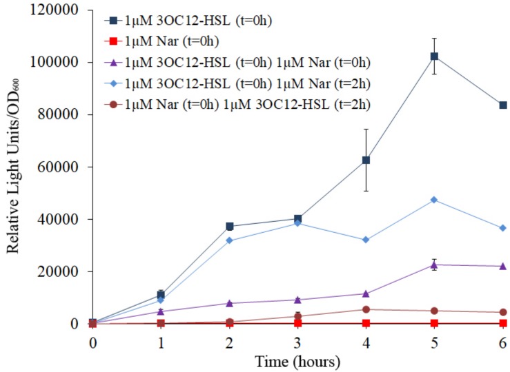 FIGURE 4