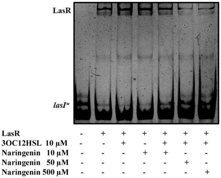 FIGURE 3