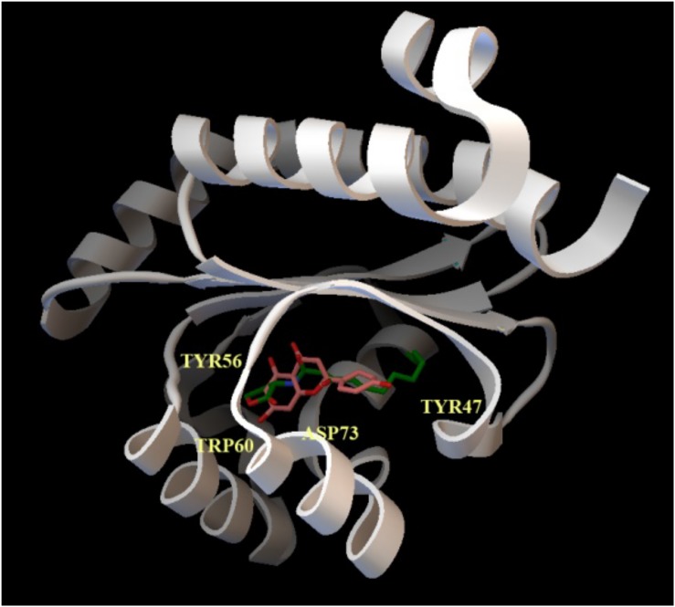 FIGURE 2