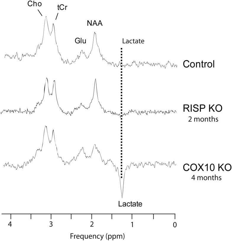 Figure 7.