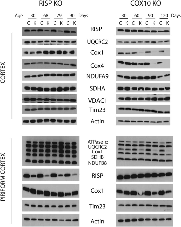 Figure 2.