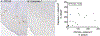 Figure 7: