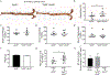 Figure. 2: