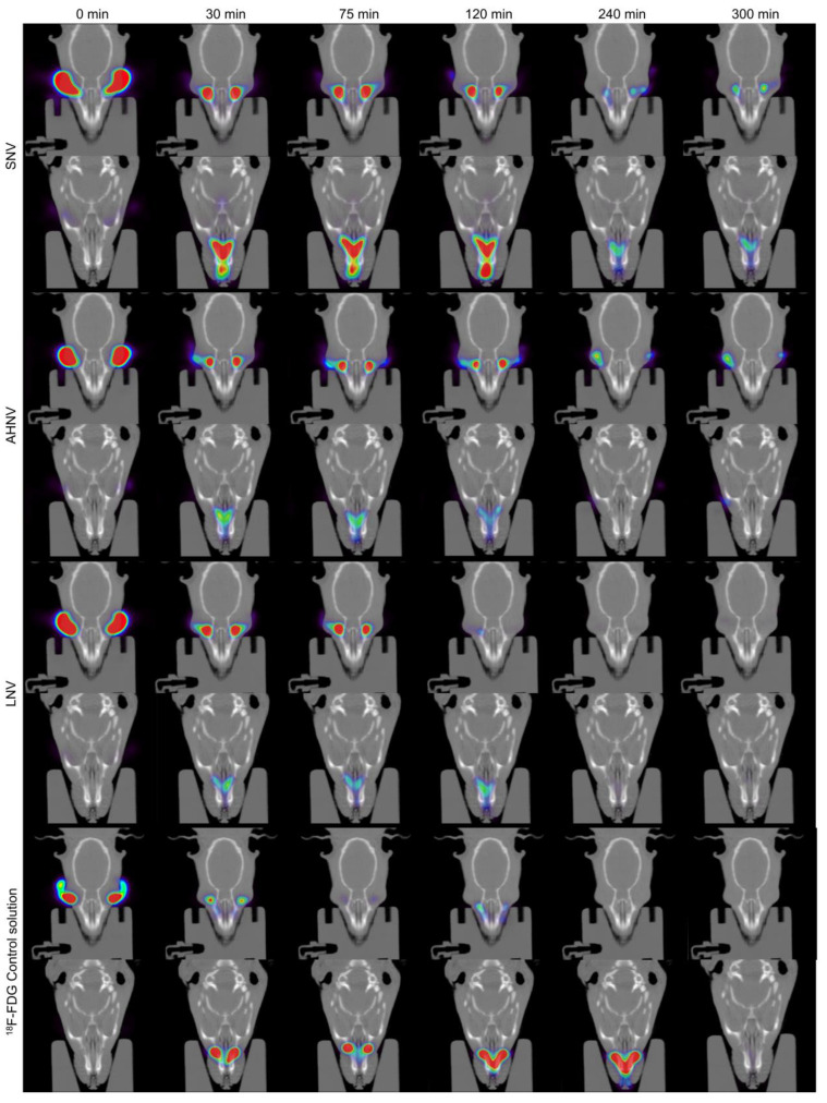 Figure 13