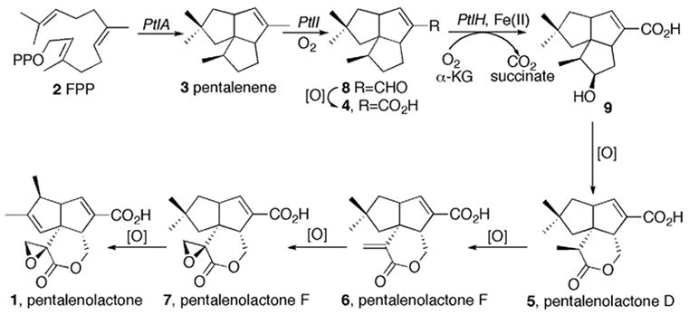 Scheme 1