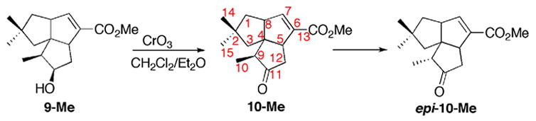 Scheme 4