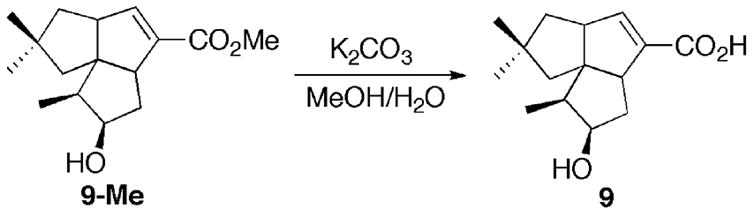 Scheme 3