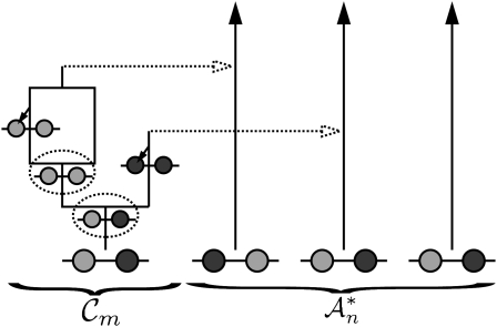 Figure 2.—