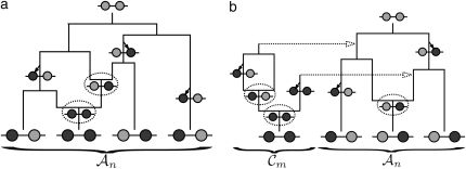 Figure 1.—