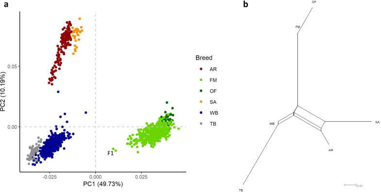 Fig. 1