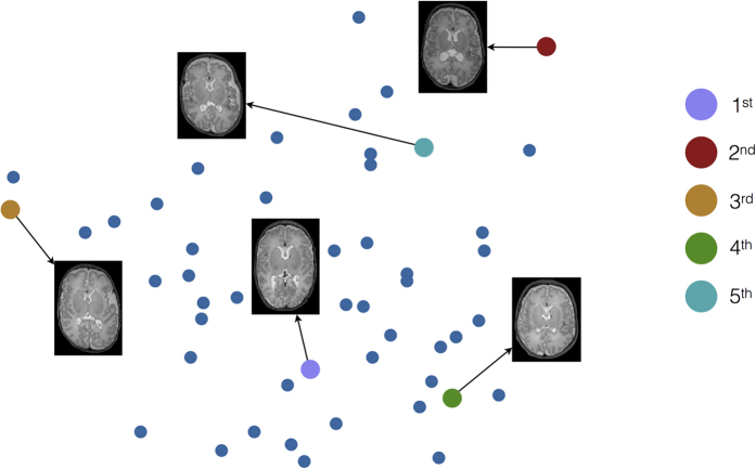 Figure 10