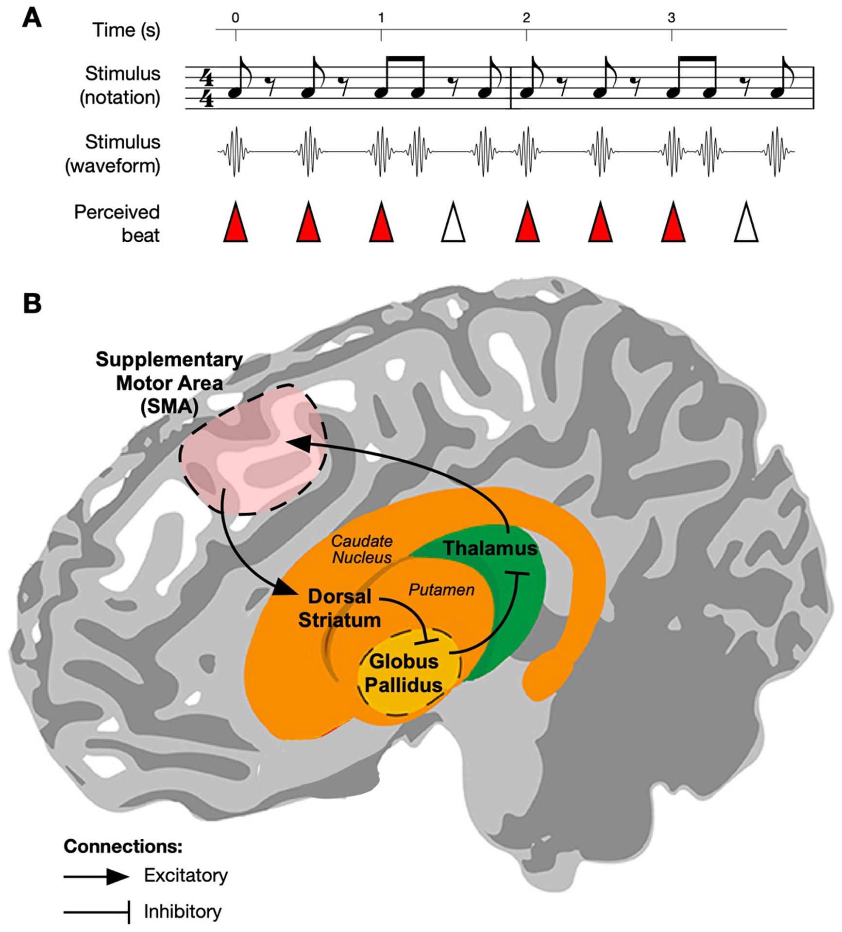 Figure 1: