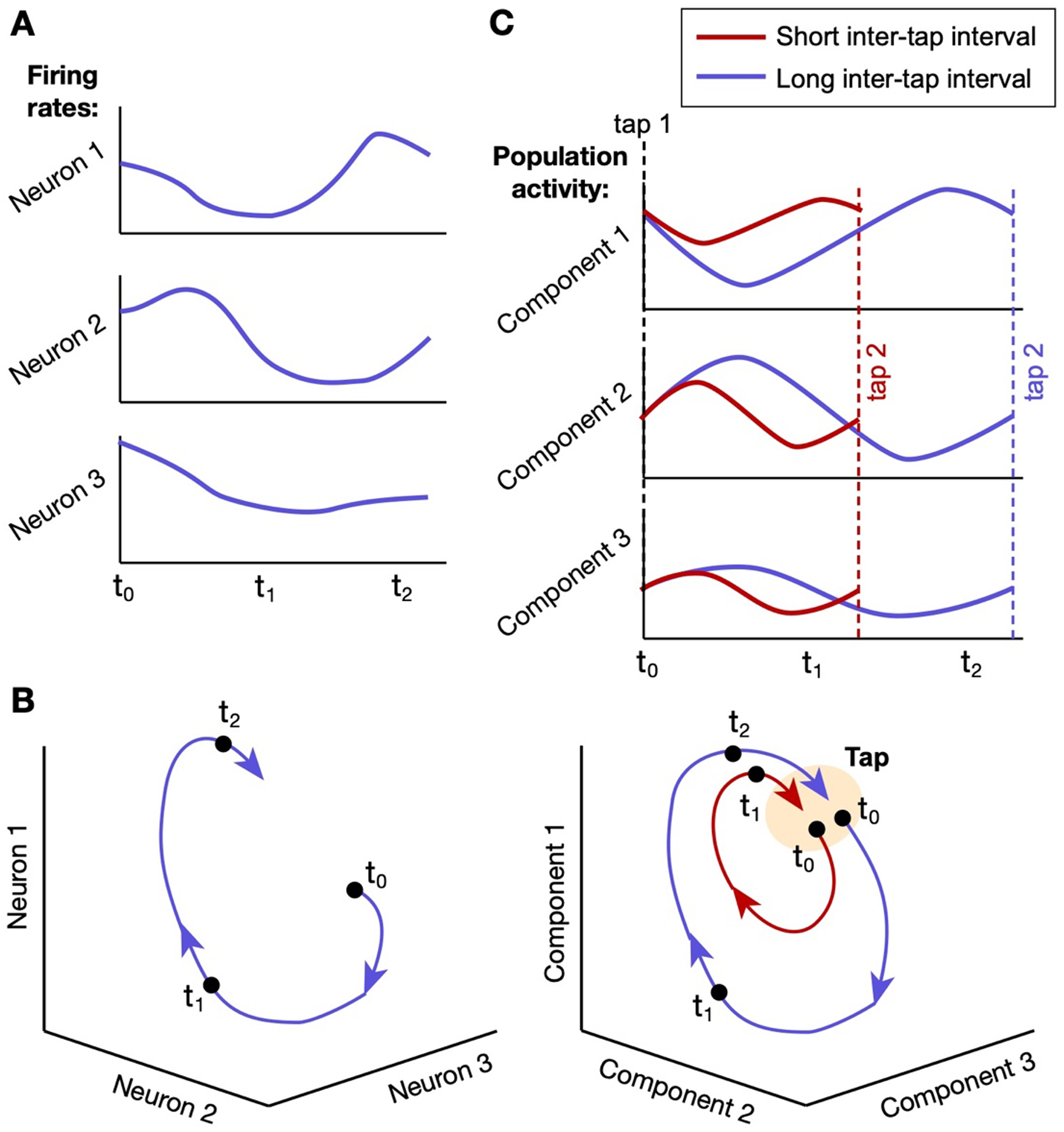 Figure 2: