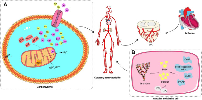 FIGURE 3