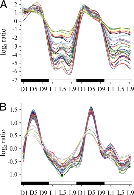 Fig. 2.